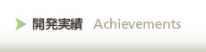 開発実績