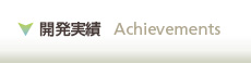 開発実績
